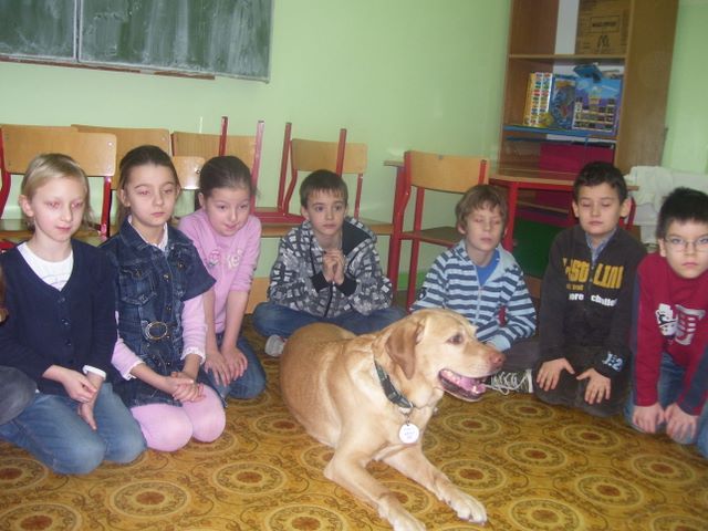 Dogoterapia